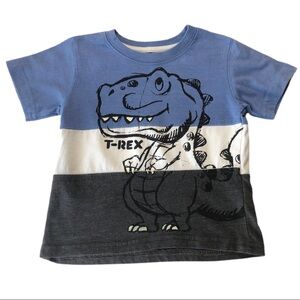 Little Rebels T-Rex Color Block Tee